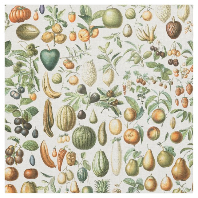 Adolphe Millot Fruits Fabric (Close Up)