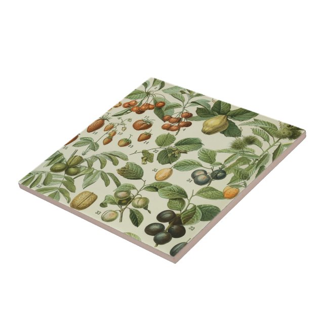 Adolphe Millot - Fruits Tile (Side)