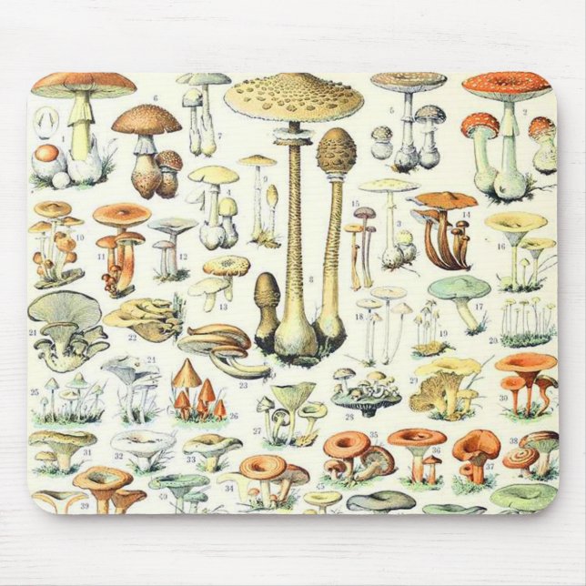 Adolphe Millot mushroom B Mouse Mat (Front)