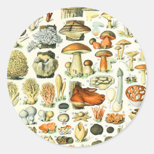Adolphe Millot mushroom Classic Round Sticker (Front)