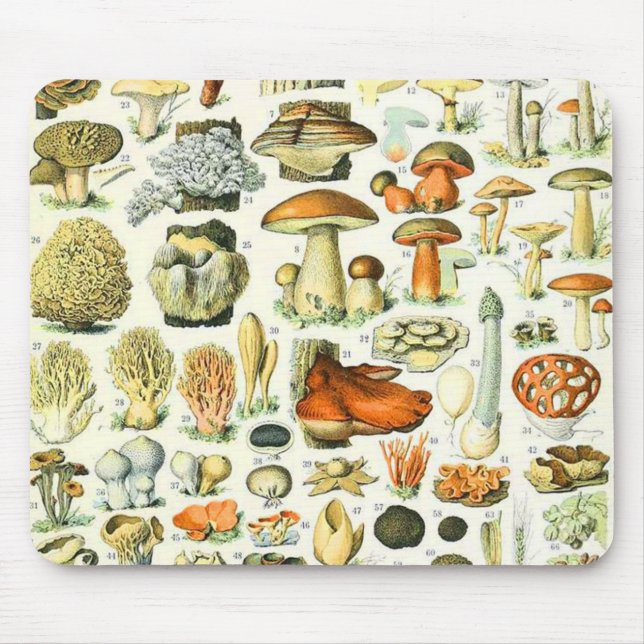 Adolphe Millot mushroom Mouse Mat (Front)