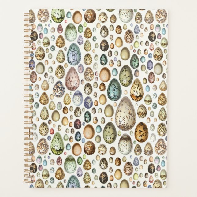 Adolphe Millot Ouefs Eggs Planner (Front)