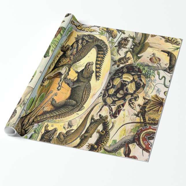 Adolphe Millot Reptiles 1 Wrapping Paper (Unrolled)