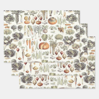 Adolphe Millot Vegetable Pattern Wrapping Paper Sh