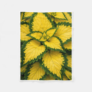 ADOM Yellow Coleus Leaves Plant Blanket