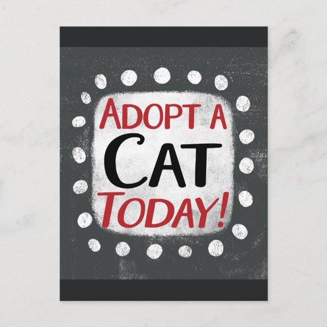 Adopt A Cat Today Postcard (Front)