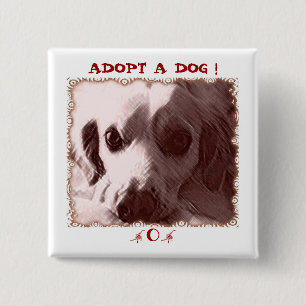 Adopt a Dog Button
