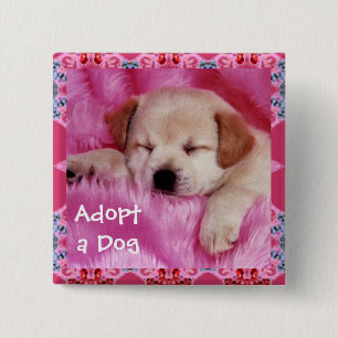 Adopt a Dog Button