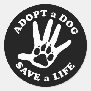Adopt a dog save a life - Design for dog lovers Classic Round Sticker