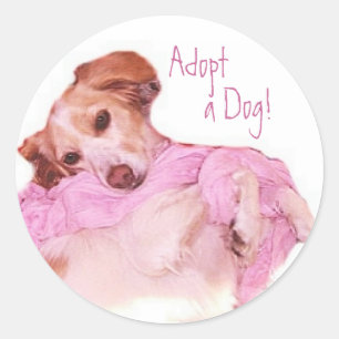 Adopt a Dog  Sticker