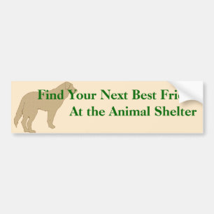 Adopt A Friend Bumper Sticker 4