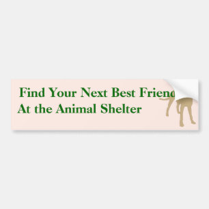Adopt A Friend Bumper Sticker 5