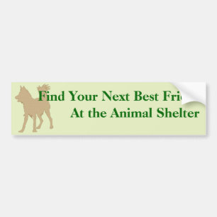 Adopt A Friend Bumper Sticker 6