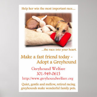 Adopt a Greyhound Poster