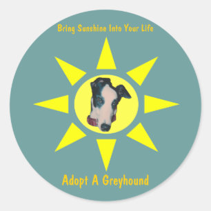 Adopt A Greyhound Sunshine In Your Life Sticker