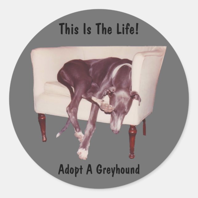 Adopt A Greyhound This Is The Life Sticker (Front)