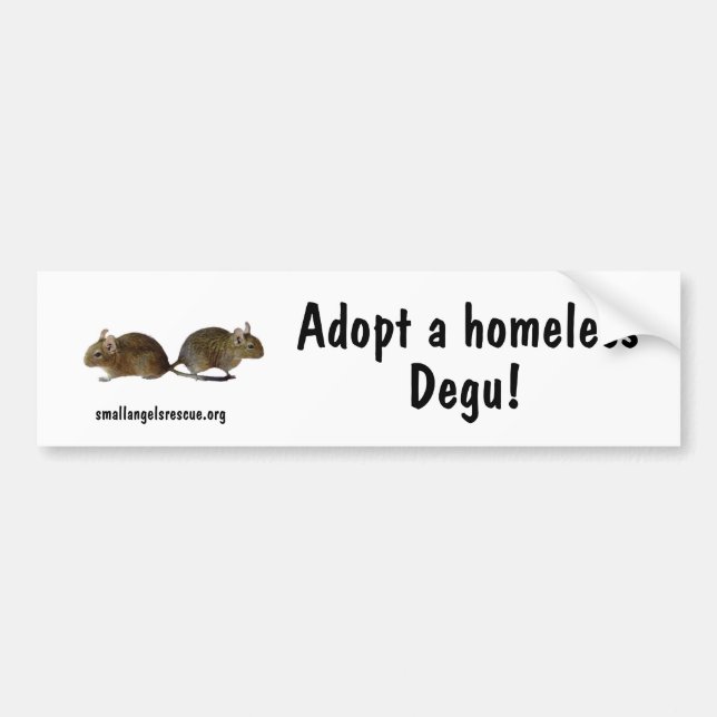 Adopt a homeless Degu! Bumper Sticker (Front)