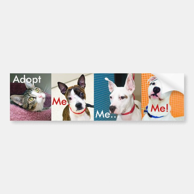 Adopt A Pet Bumper Sticker (Front)