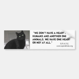 Adopt a Pet Bumper Sticker