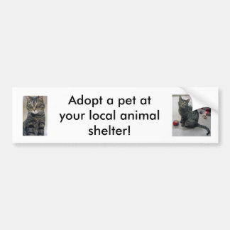 Adopt a Pet Bumper Sticker