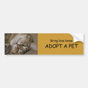 ADOPT A PET Bumper Sticker 1