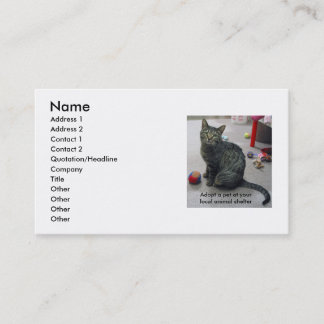 Adopt a Pet Profile Card