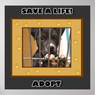 Adopt a puppy poster