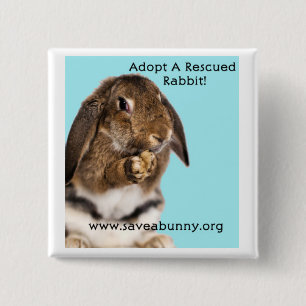 Adopt A Rescued Rabbit! 15 Cm Square Badge