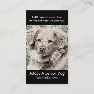 Adopt a Senior Dog Animal Rescue Business Card