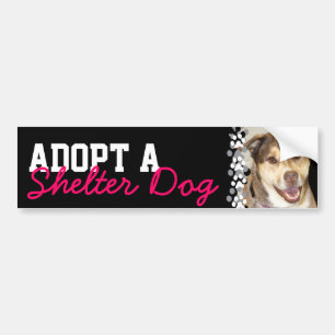 Adopt a Shelter Dog Bumper Sticker