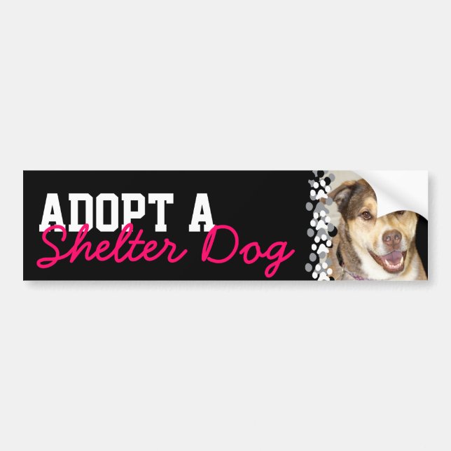 Adopt a Shelter Dog Bumper Sticker (Front)