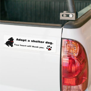 Adopt A Shelter Dog Design Bumper Sticker