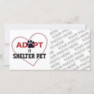 Adopt a Shelter Pet