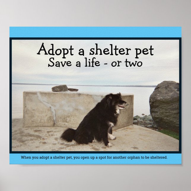 Adopt a Shelter Pet Poster (Front)