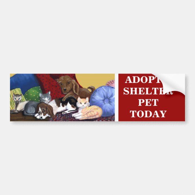 ADOPT A SHELTER PET TODAY Bumpersticker Bumper Sticker (Front)