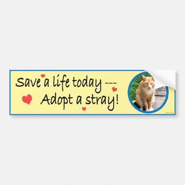 Adopt A Stray #2 Bumper Sticker (Front)