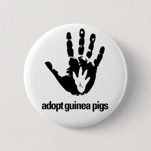 Adopt Guinea Pigs Button - Guinea Pig Today