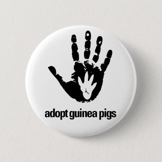 Adopt Guinea Pigs Button - Guinea Pig Today