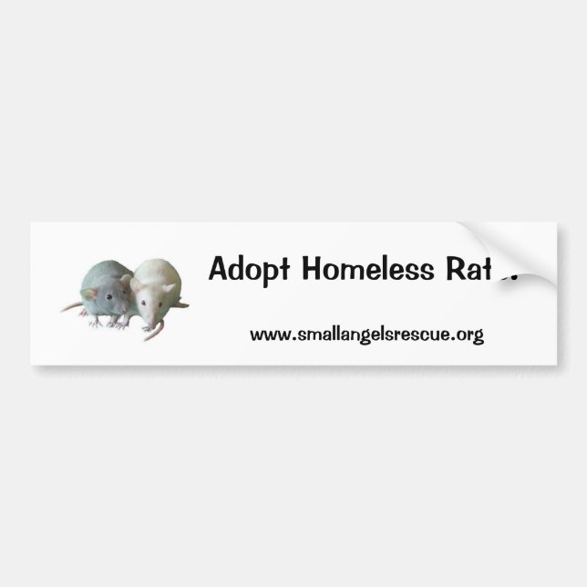 Adopt Homeless Rats! Bumper Sticker (Front)