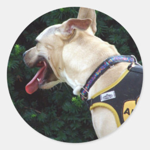 Adopt Me Classic Round Sticker