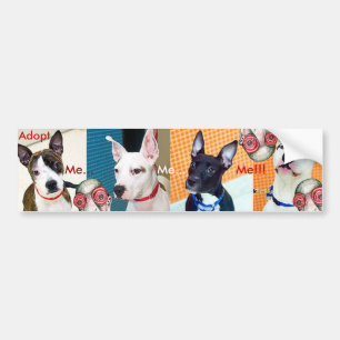 Adopt Me... Me... Me!!! Bumper Sticker