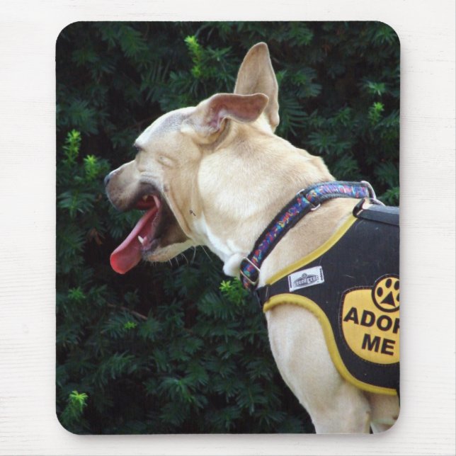 Adopt Me Mouse Mat (Front)