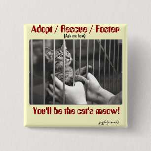 Adopt, Rescue, Foster 15 Cm Square Badge