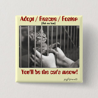 Adopt, Rescue, Foster 15 Cm Square Badge