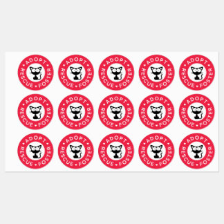 Adopt, Rescue, Foster | Cute Black Cat