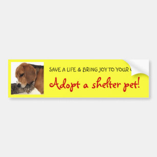Adopt Shelter Pet, Shelter Dog, Shelter Cat Bumper Sticker