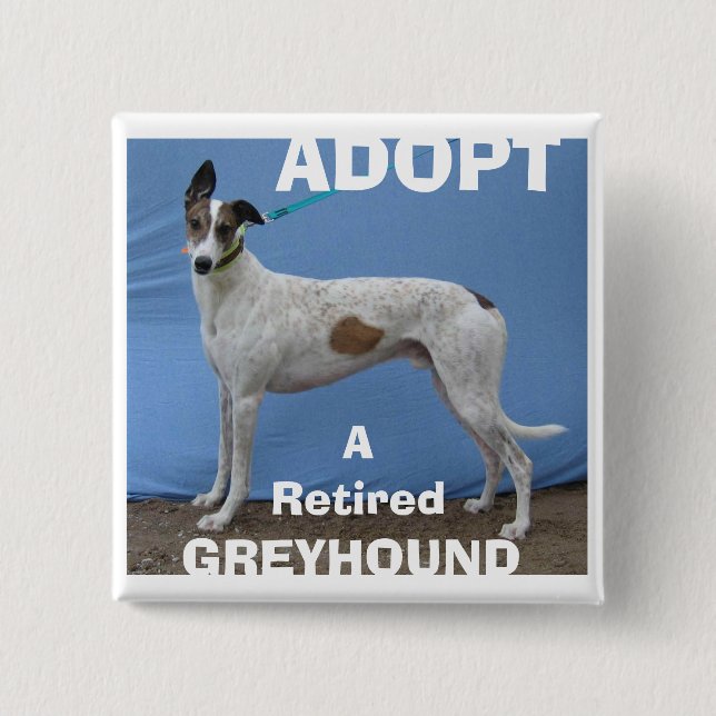 ADOPT (WBD) v.2 15 Cm Square Badge (Front)
