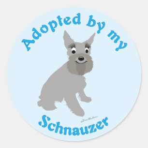 Adopted by my Schnauzer Classic Round Sticker