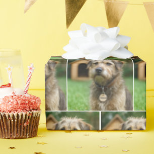 Adopted Scruffy Dog With Doghouse Wrapping Paper