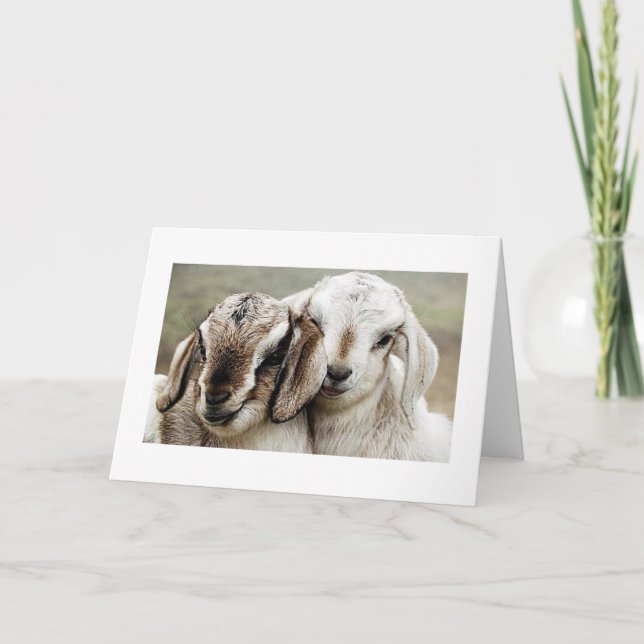 adoption, adopting, adopted, photography, card (Front)